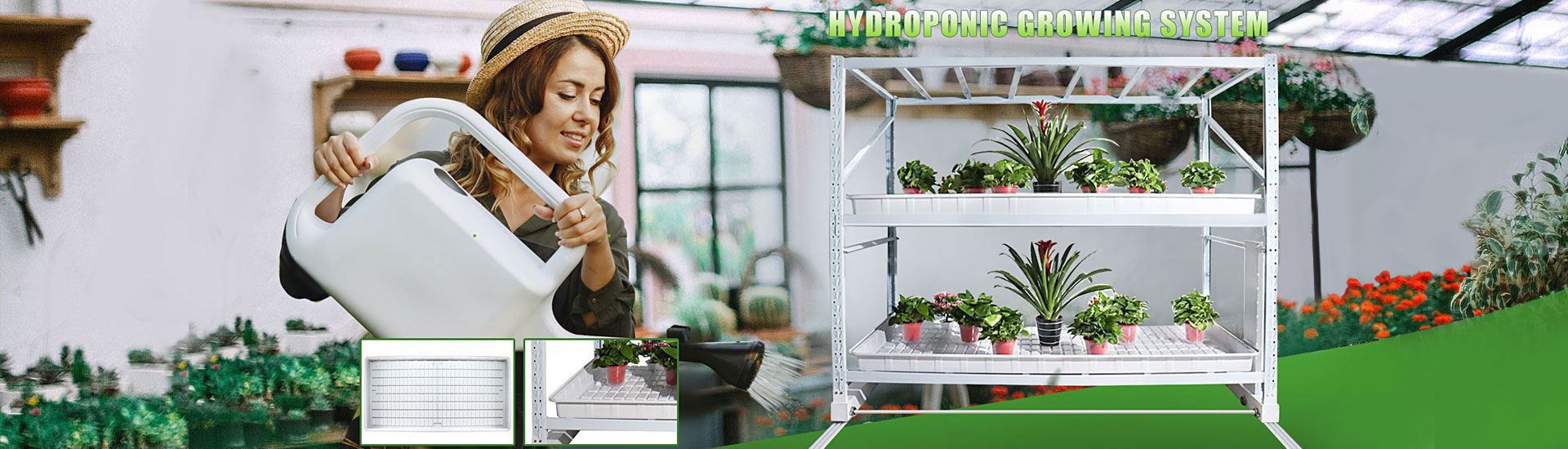 hydroponic garden