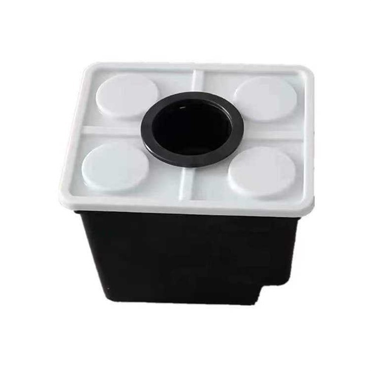 Dutch Bucket Plants Hydroponic Dutch Buckets Dutch Bucket Hydroponic System