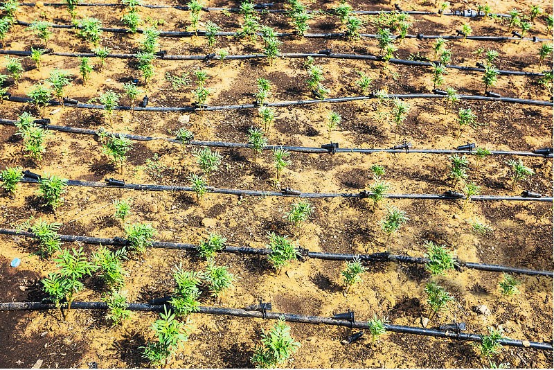 H171003ed2d0849d697bf744dc5c2df2ei H171003ed2d0849d697bf744dc5c2df2ei